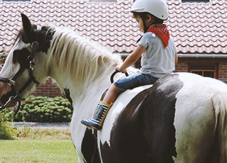 cours cheval apprendre