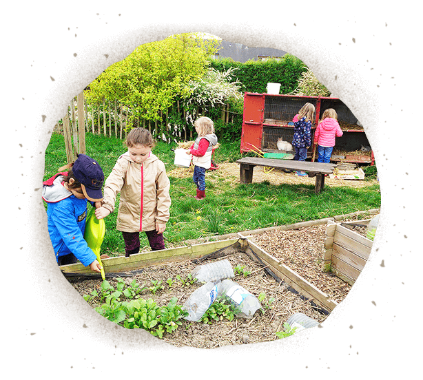 urbaine potager