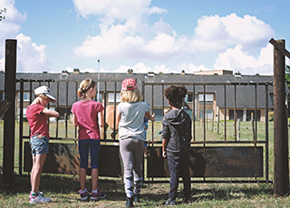 Ferme Urbaine Dottignies