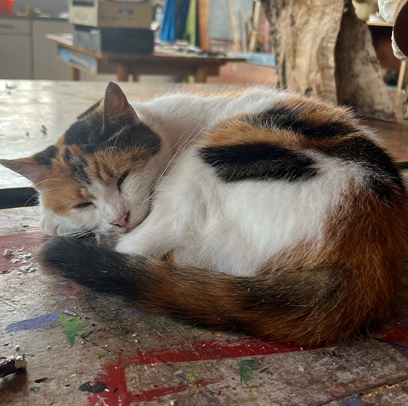 chat